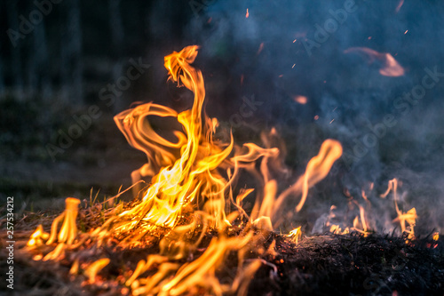 The flames of the fire burning the herb in the evening field, turning into coals and ashes with smoke. Soft focus and texture.