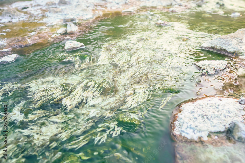 Hot spring river with sulfur limestone, natural Thailand onsen mineral water pond at Chae Son National Park