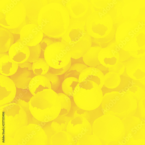 Cracked eggs pattern as colorful yellow background. Top view, flat lay, selective focus. Easter creative minimal concept. Eggshell texture for art background.