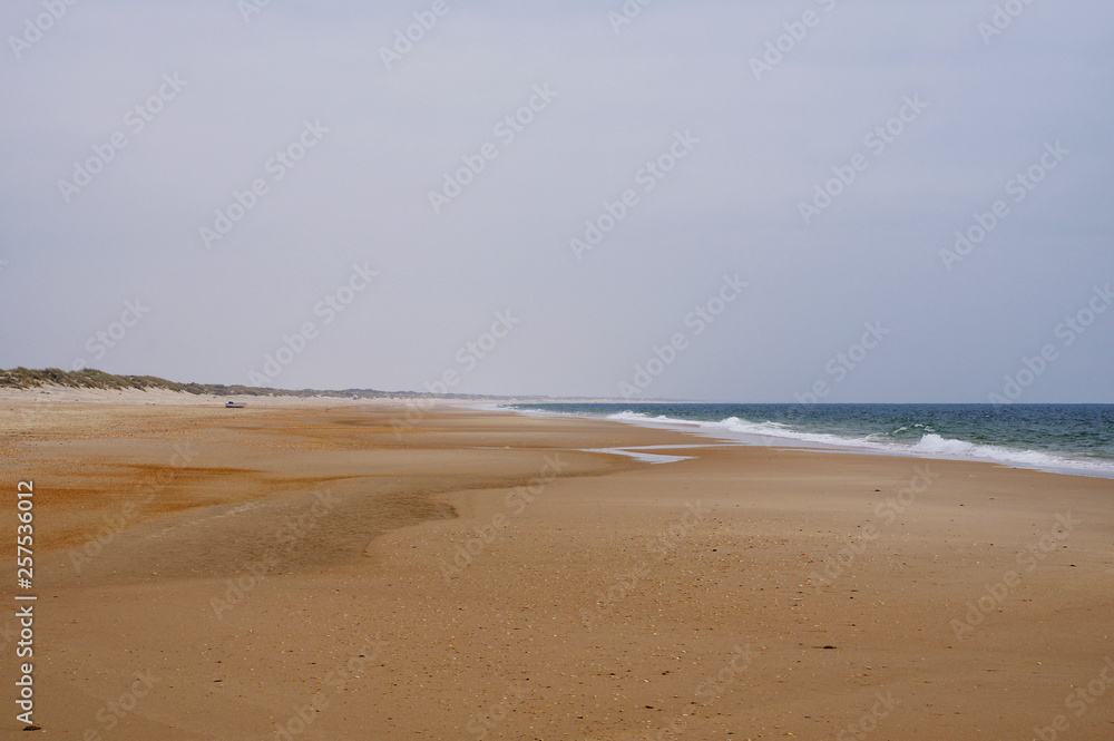 The deserted atlantic littoral of Coto de Donana National Park in Andalusia, Spain The deserted atlantic littoral of Coto de Donana National Park in Andalusia, Spain