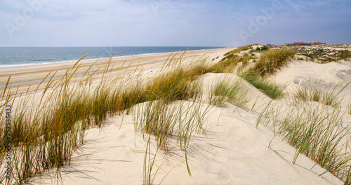 The sandy landscape of Coto de Donana National Park in Andalusia  Spain