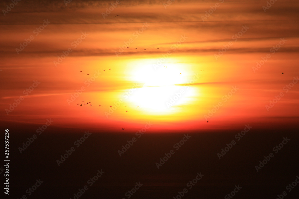 The orange sunset reflected in the small waves. The shimmering waves in the sunset The orange sunset reflected in the small waves. The shimmering waves in the sunset
