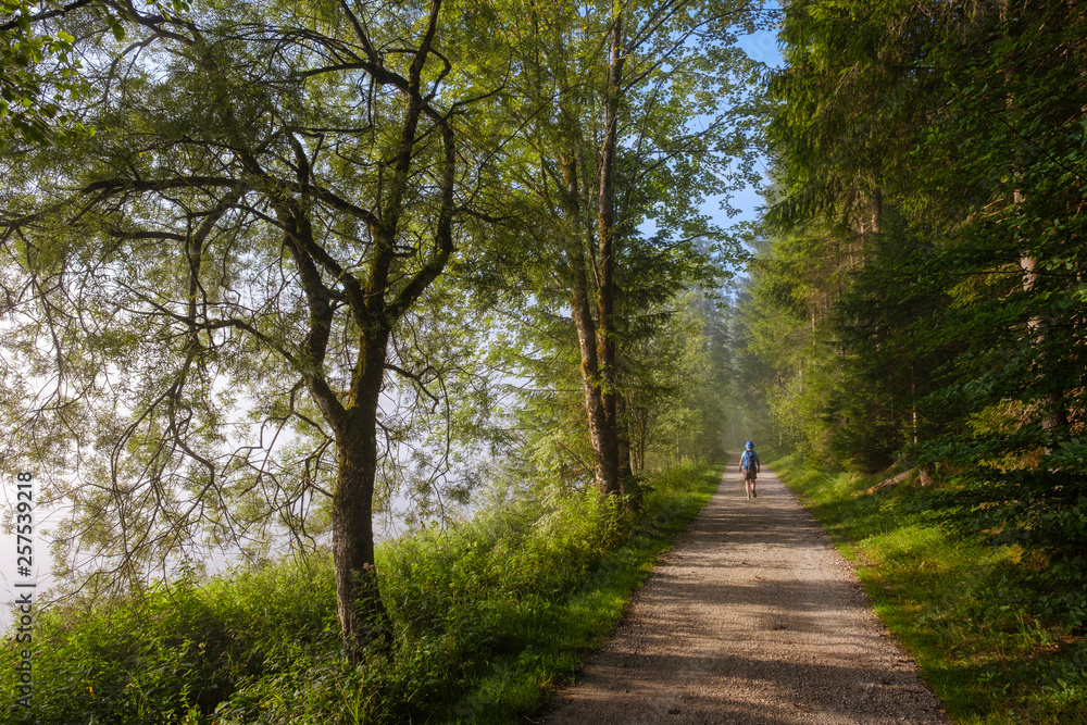 Rear view of woman walking on forest path Rear view of woman walking on forest path