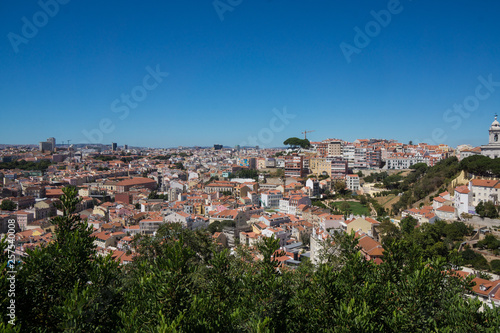 forest in historic town center and cityscape