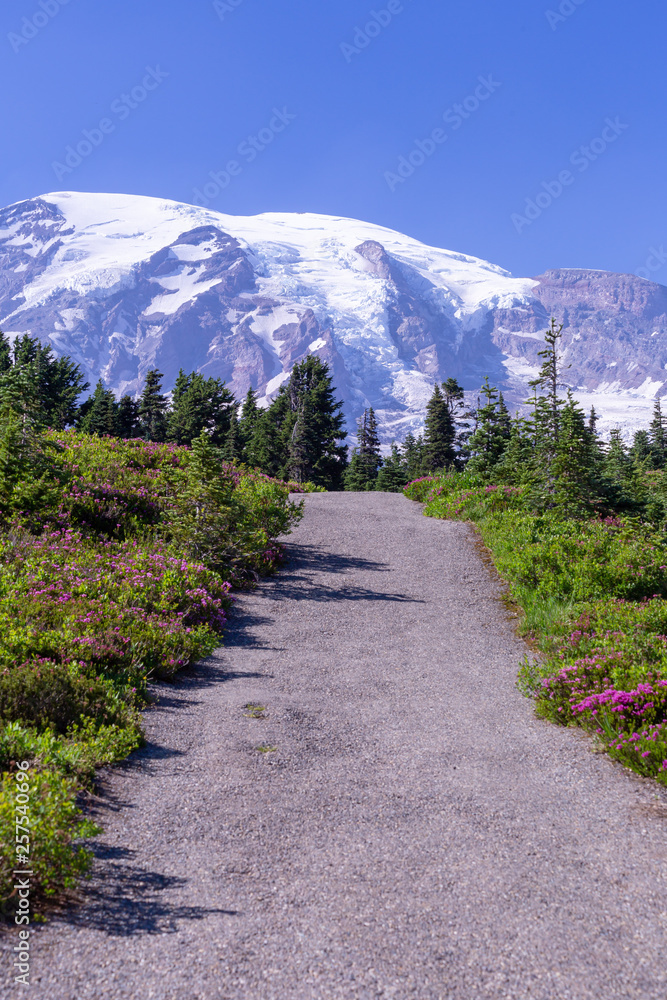 Obraz premium Glacier mountain peak