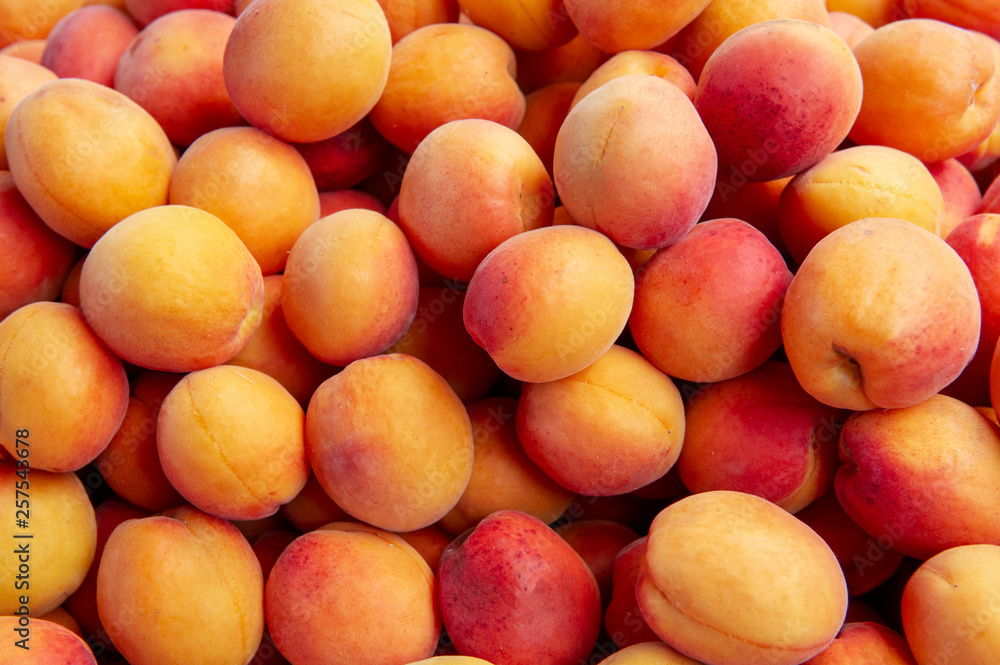 Fresh apricot background Fresh apricot background