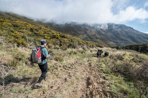 Hiking Mount Herbert Trail, Christchurch, Canterbury, New Zealand photo