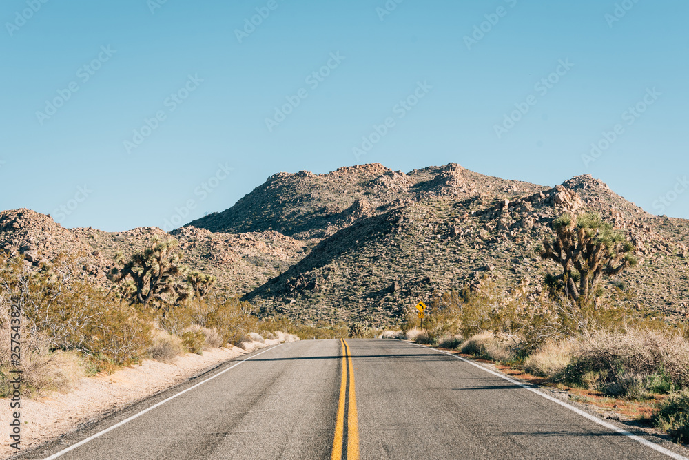 Road in the desert, in Joshua Tree National Park, California