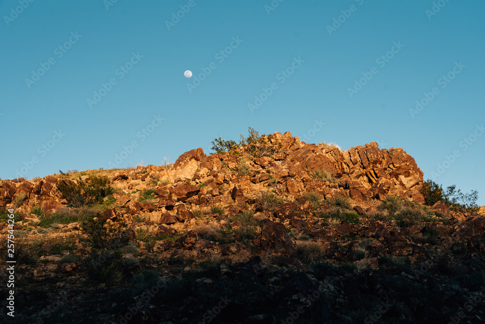 Moon over the desert landscape at sunset, in Joshua Tree National Park, California