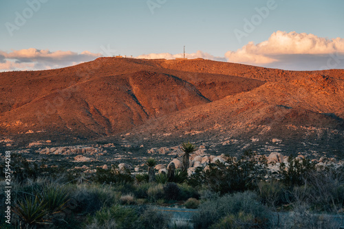Mountains and desert landscape at sunset, in Joshua Tree National Park, California