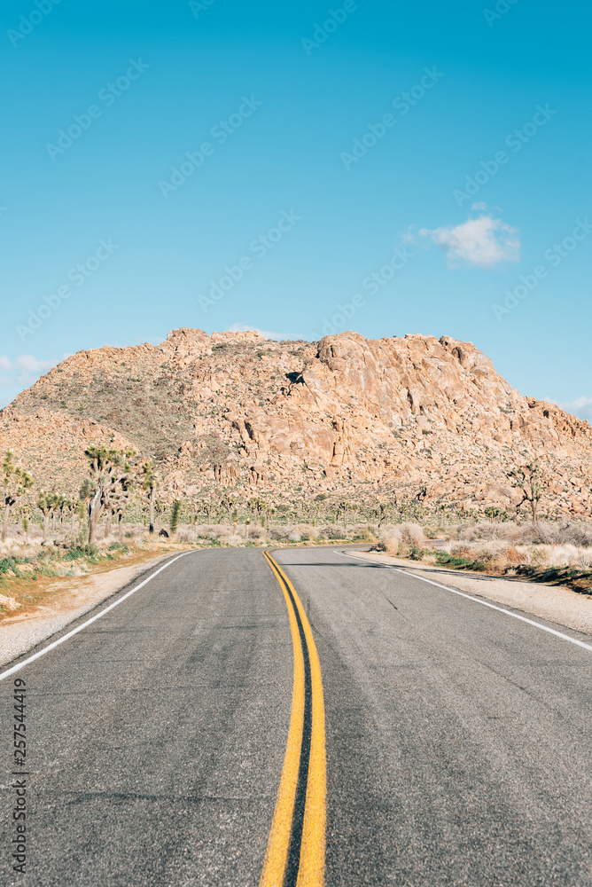 Road and mountains in the desert, in Joshua Tree National Park, California Road and mountains in the desert, in Joshua Tree National Park, California