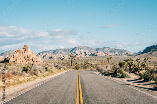 Road in the desert, in Joshua Tree National Park, California