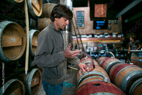 Winemaker working in winery  photo