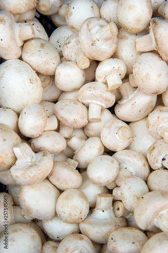 Fresh organic champignon mushrooms background