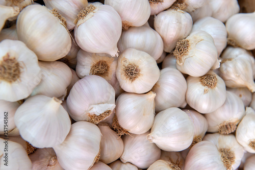 White garlic pile texture. Fresh garlic on market table closeup photo. Vitamin healthy food spice image. Spicy cooking ingredient picture. Pile of white garlic heads.