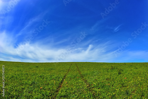 beautiful landscape  green field and blue sky
