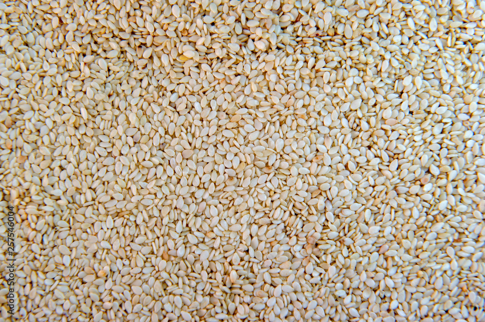 Raw sesame seeds background Raw sesame seeds background