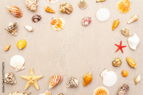 Seashells summer background. Lots of different seashells piled together, top view, copy space, frame.