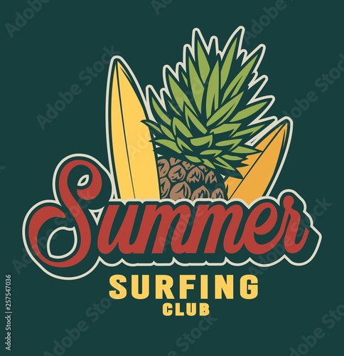 Photography Vintage summer surfing colorful label