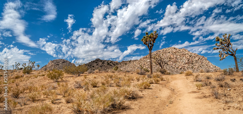 Stone Desert Panorama © Andrew Kazmierski