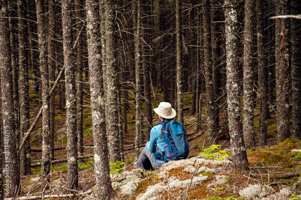 Woman sitting on the edge of the forest in the Moosehead Region Northern Maine. Woman sitting on the edge of the forest in the Moosehead Region Northern Maine.