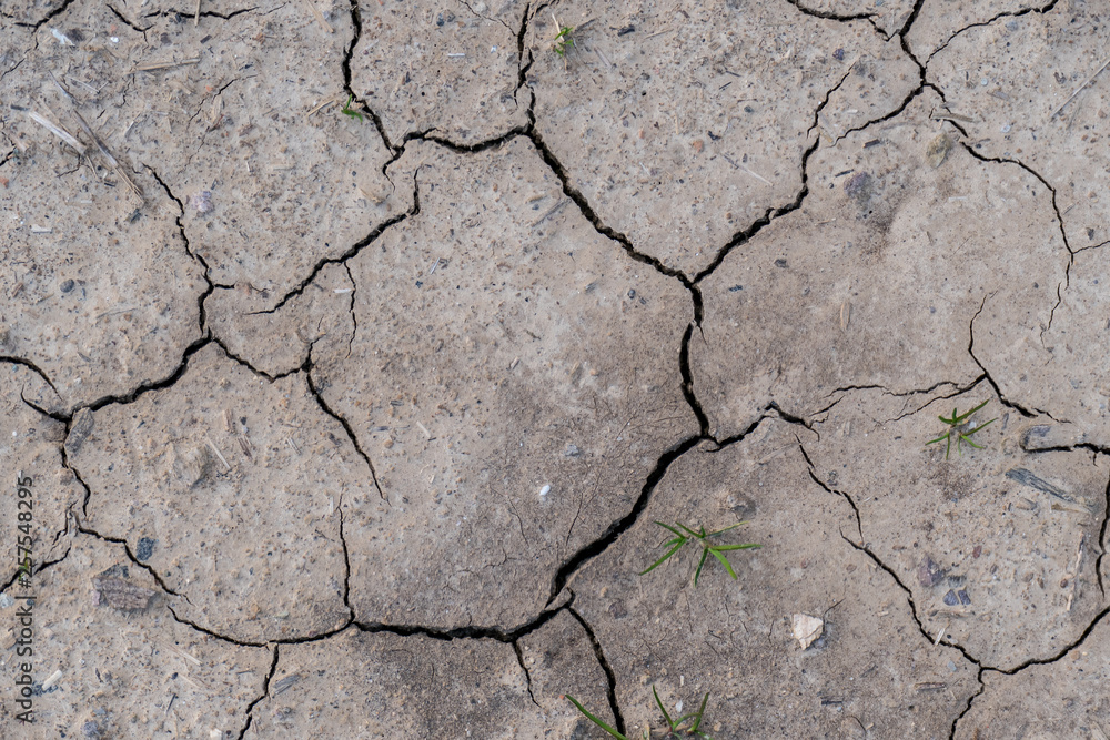Fototapeta premium Rissiger Ackerboden durch Trockenheit