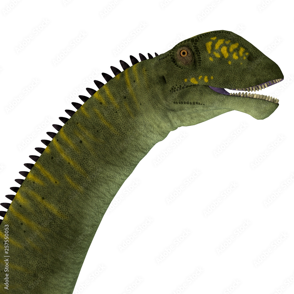 Mamenchisaurus hochuanensis Dinosaur Head Mamenchisaurus hochuanensis