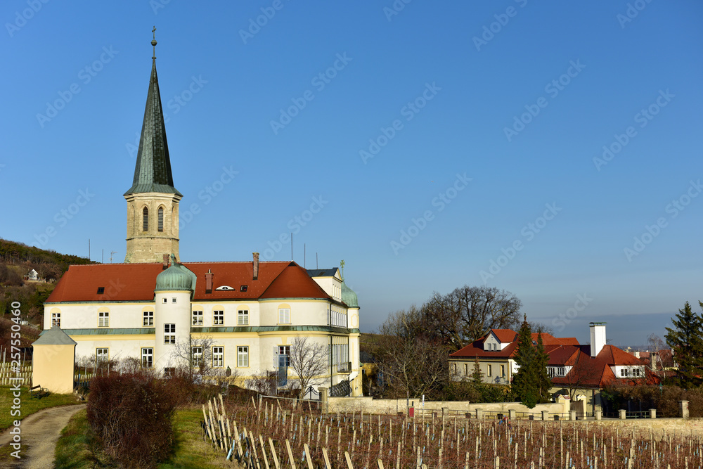 Vineyard in front of the parish church of St. Michael and German Order castle. Town of Gumpoldskirchen, Lower Austria. Vineyard in front of the parish church of St. Michael and German Order castle. Town of Gumpoldskirchen, Lower Austria.