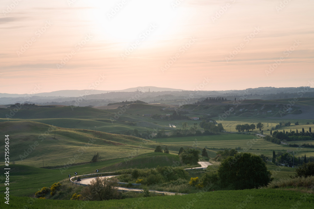 Fototapeta premium Val d'Orcia (or Valdorcia) landscape in Tuscany at sunset, a very popular travel destination in Italy