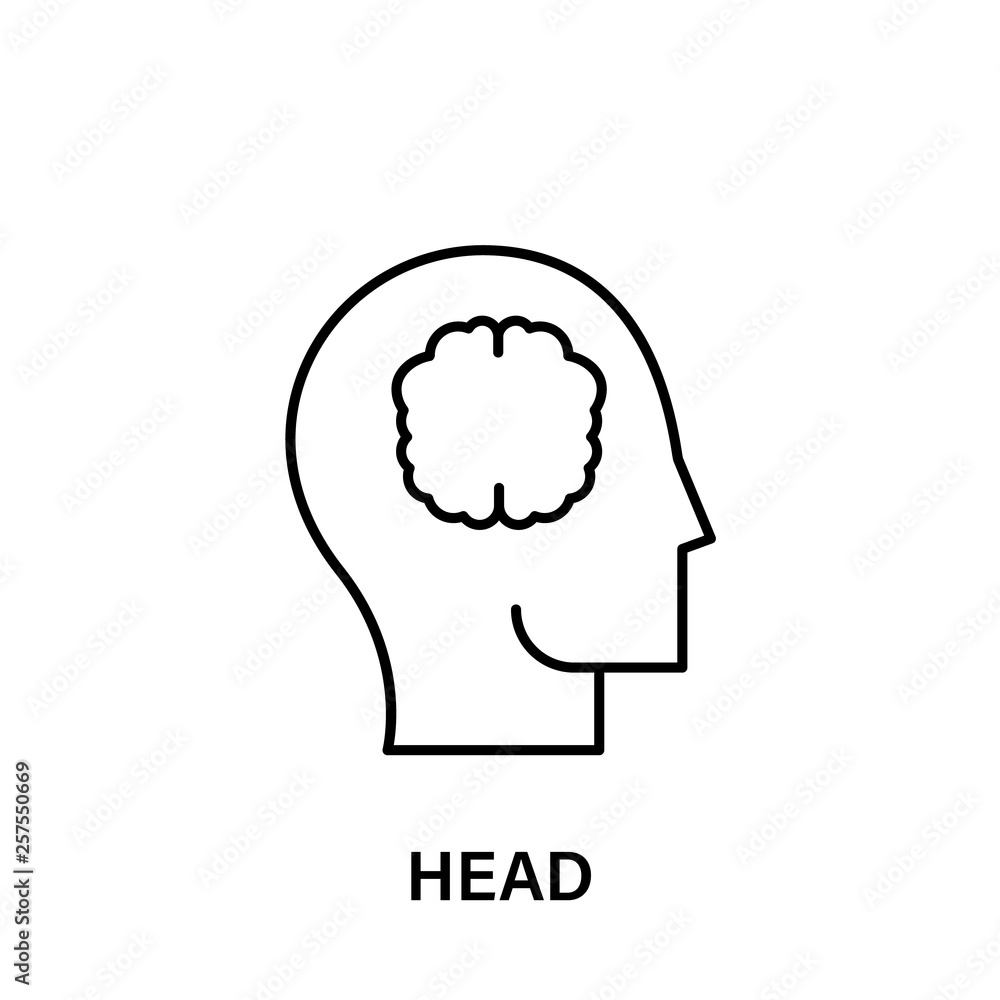 thinking, head, brain, creative idea icon. Element of human positive thinking icon. Thin line icon for website design and development, app development. Premium icon thinking, head, brain, creative idea icon. Element of human positive thinking icon. Thin line icon for website design and development, app development. Premium icon