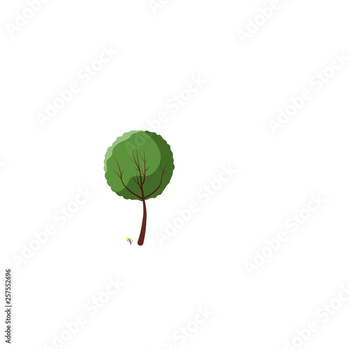 tree with green leaves isolated on white