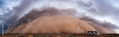 Принти на полотні Panorama of a haboob dust storm