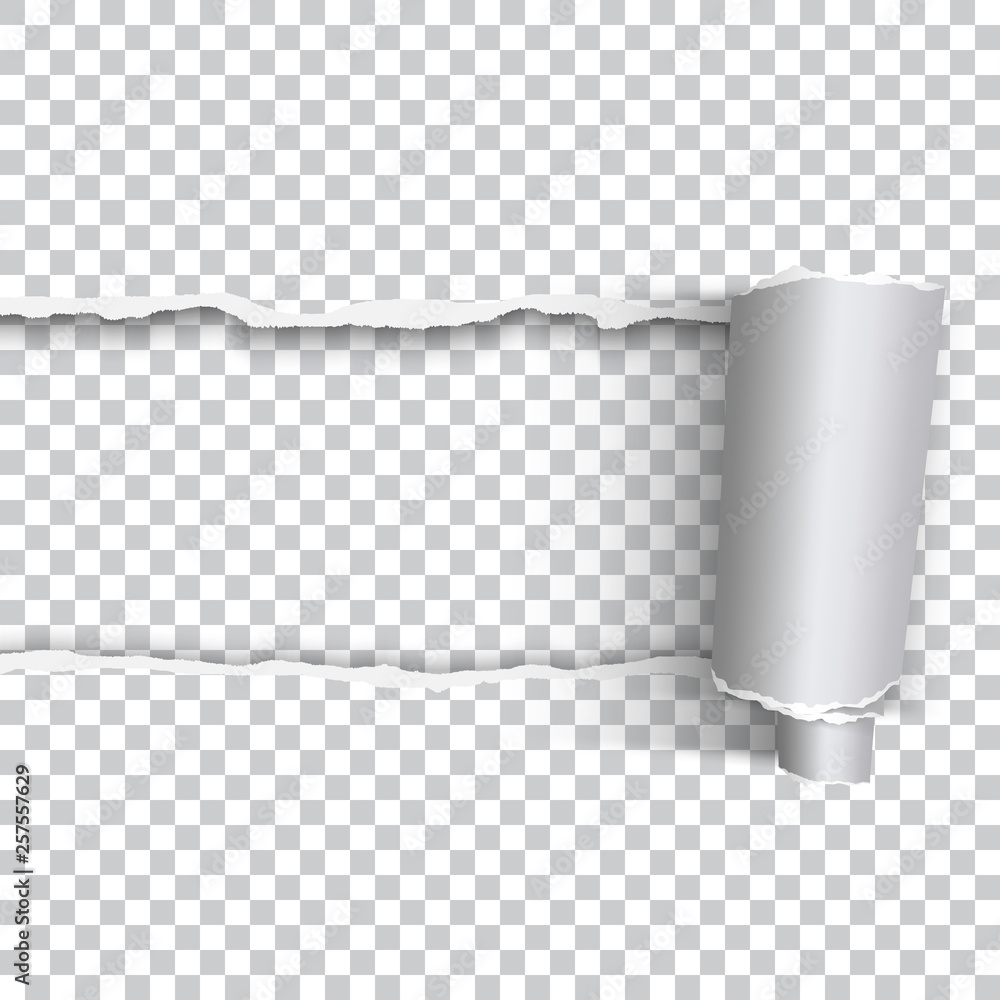 realistic torn paper with rolled edge