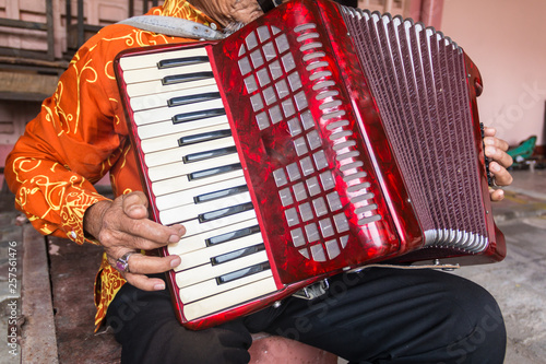 Accordion player