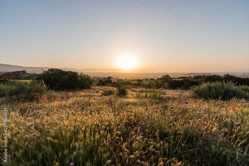 Spring meadow dawn at Santa Susana Pass State Historic Park in the west San Fernando Valley area of Los Angeles, California.  