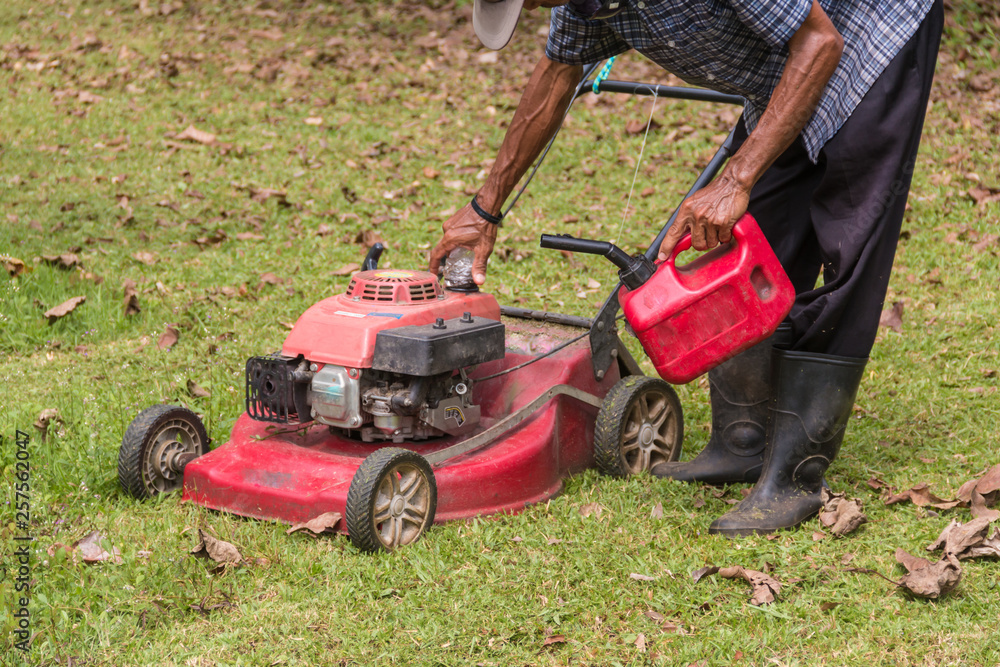 Fototapeta premium Men are adding oil to the lawn mower.