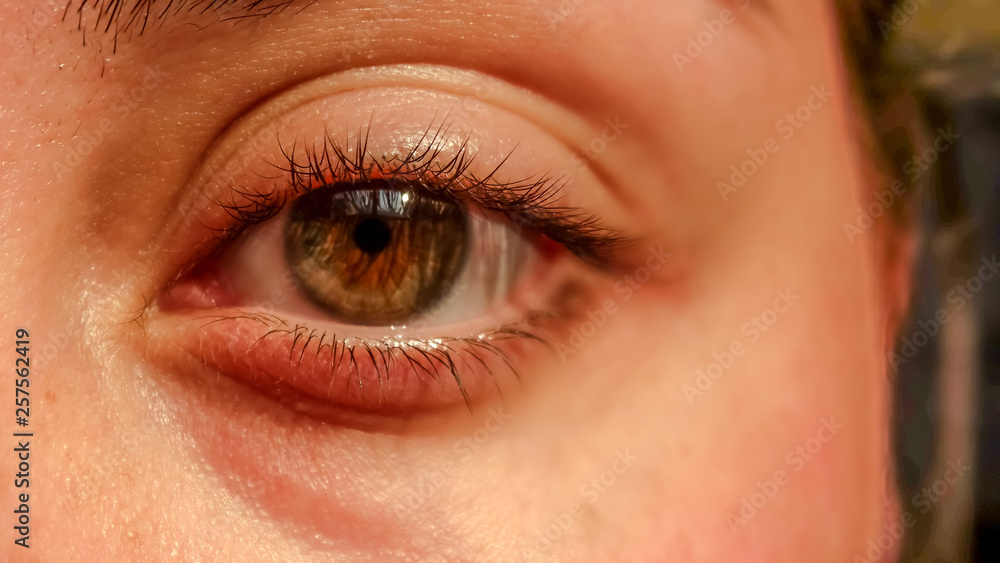 Fototapeta premium close up of womans eye