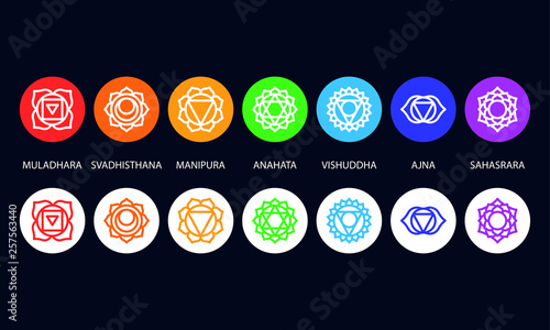 Set of seven chakra symbols with names, vector
