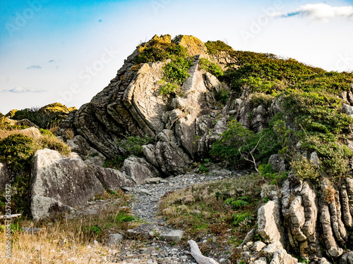 日本 高知県室戸岬の海岸の大岩