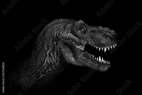 Tyrannosaurus Rex close up on dark background. - Image