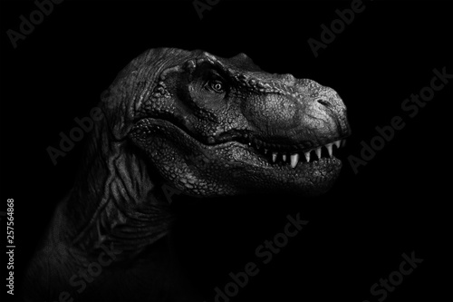 Tyrannosaurus Rex close up on dark background. - Image © Aomarch