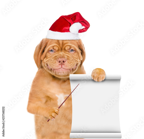 Funny puppy in red christmas hat and pointing on empty list. isolated on white background © Ermolaev Alexandr