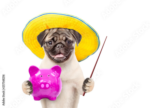 Funny puppy in summer hat holding a piggy bank and pointing on empty space. isolated on white background © Ermolaev Alexandr