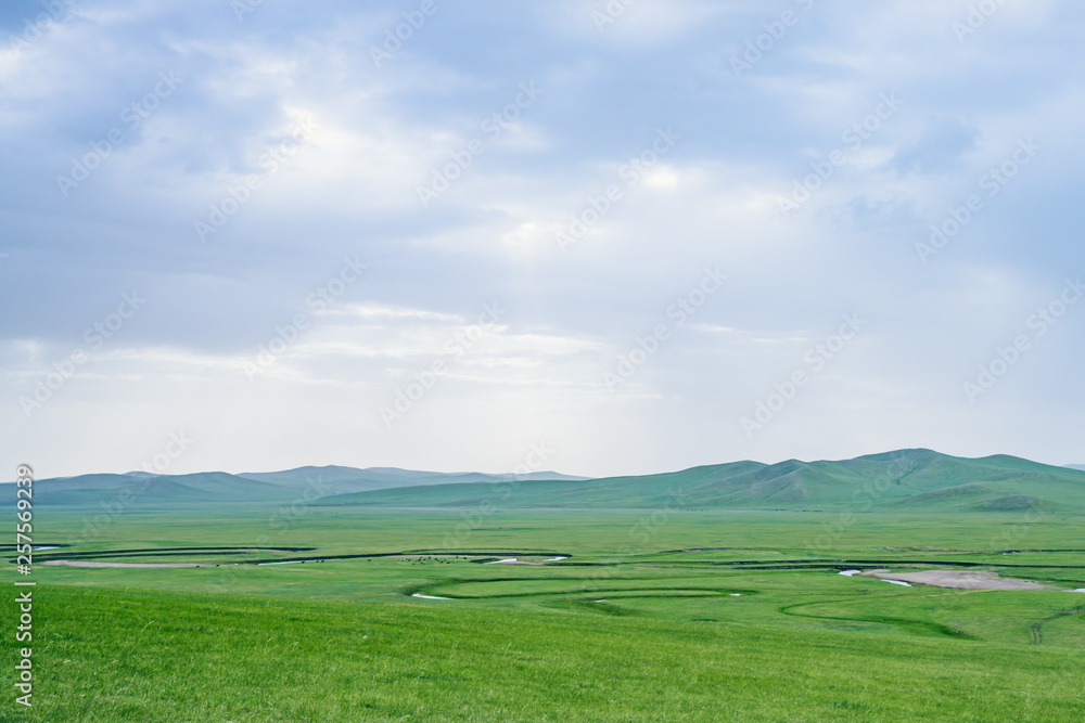 Grassland, river and sheep in chenbarhuqi, hulun buir, Inner Mongolia, China