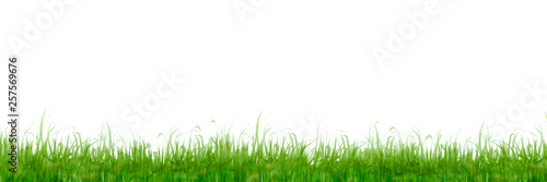 草 芝生 背景 黄緑 水彩 イラスト