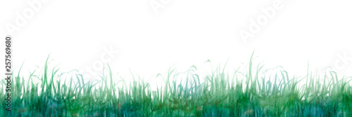 草 芝生 背景 緑 水彩 イラスト Stock Illustration Adobe Stock 草 芝生 背景 緑 水彩 イラスト Stock Illustration Adobe Stock