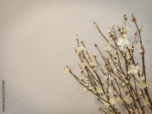 wild flowers on a white background