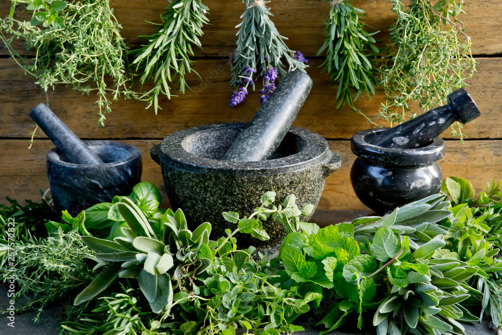 Ταπετσαρία Fresh herbs with mortar and pestle against rustic wooden background