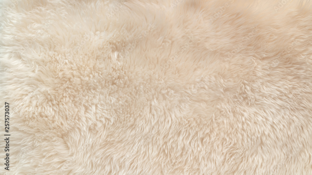 White soft wool texture background, cotton wool, light natural animal wool, close-up texture of white fluffy fur, wool with beige tone, fur with a delicate peach tint - obrazy, fototapety, plakaty 