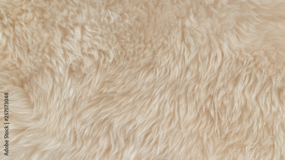 White soft wool texture background, cotton wool, light natural animal wool, close-up texture of white fluffy fur, wool with beige tone, fur with a delicate peach tint White soft wool texture background, cotton wool, light natural animal wool, close-up texture of white fluffy fur, wool with beige tone, fur with a delicate peach tint